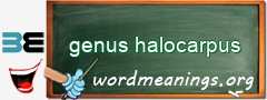 WordMeaning blackboard for genus halocarpus